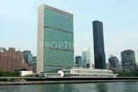 Images for Elevation of Evershine Sparkle