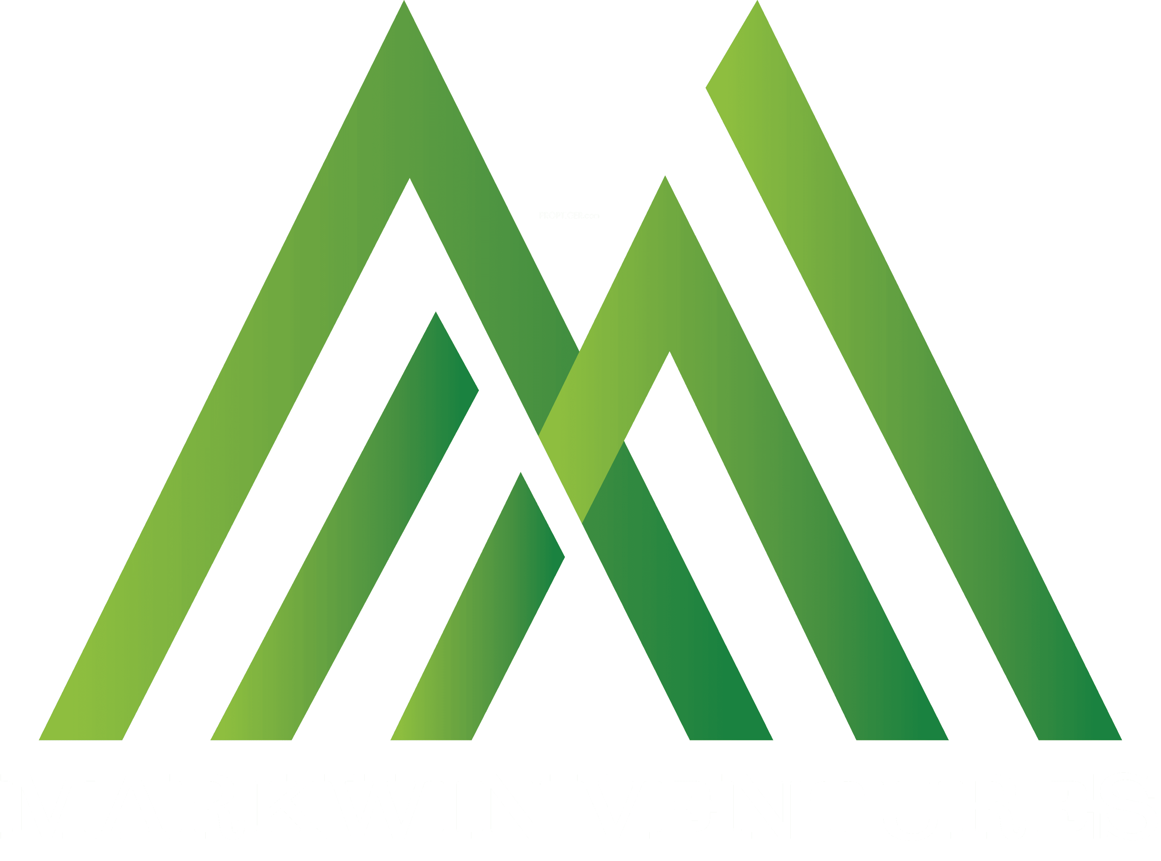 Developer Logo
