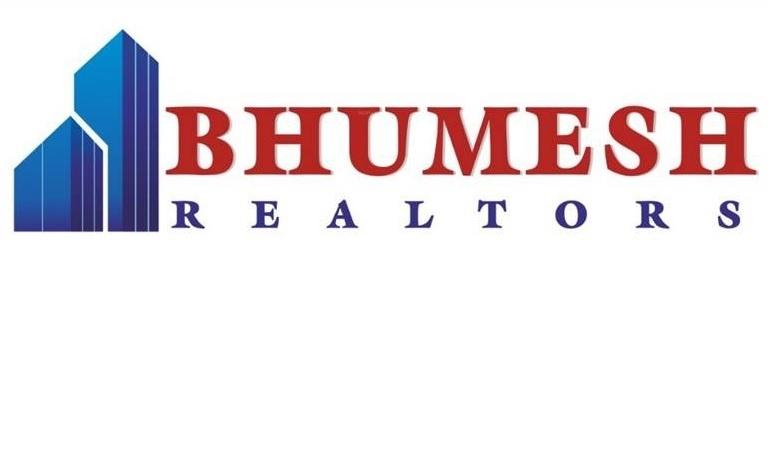 Developer Logo