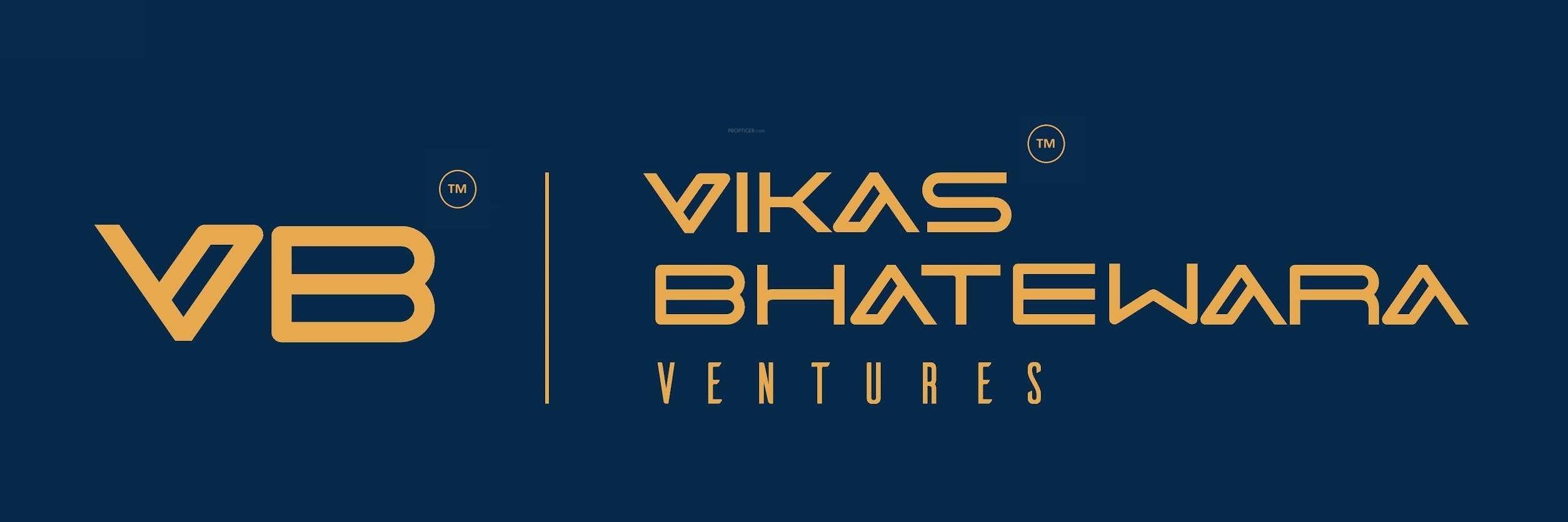 Developer Logo