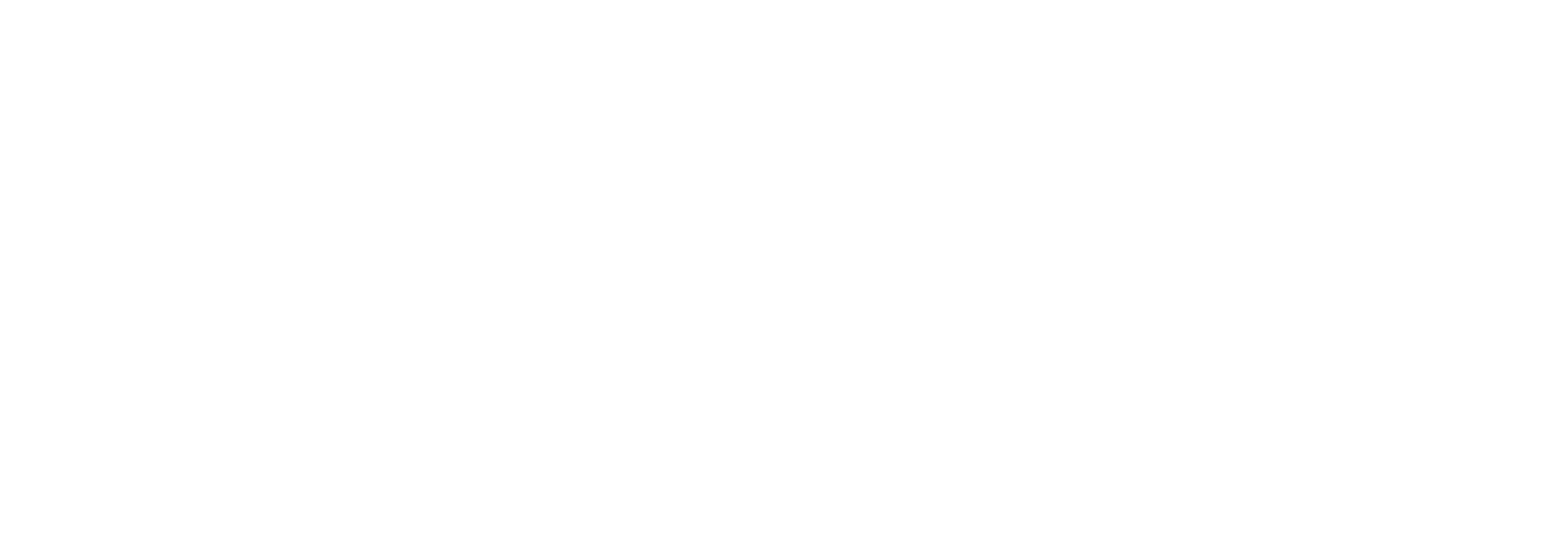 Developer Logo