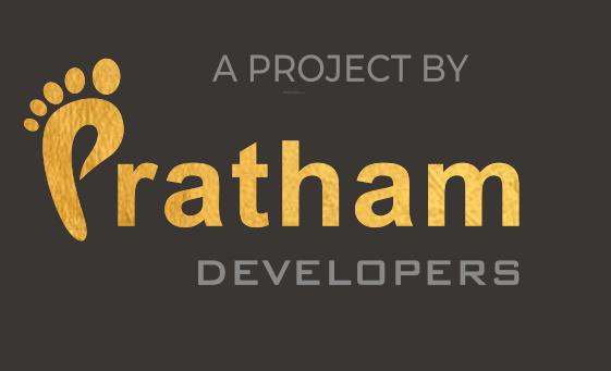 Developer Logo