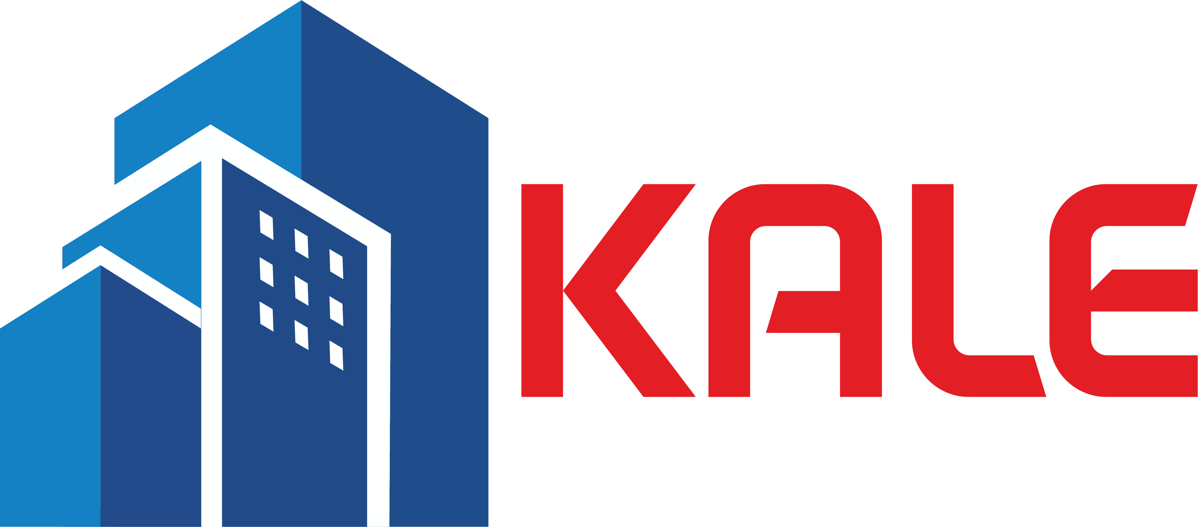 Developer Logo