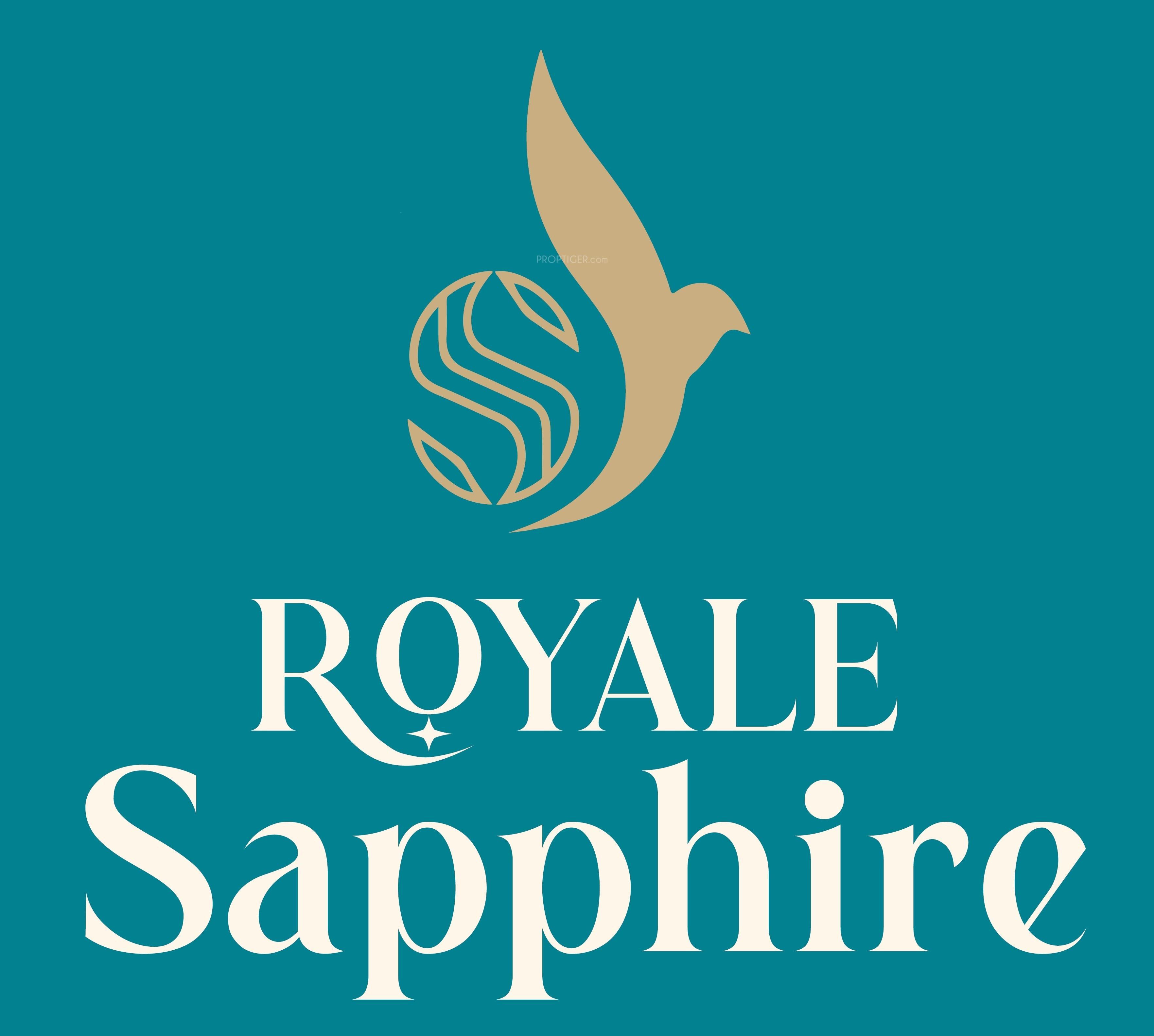 Developer Logo