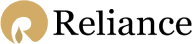 Developer Logo