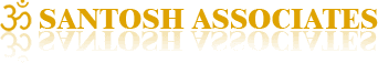 Developer Logo