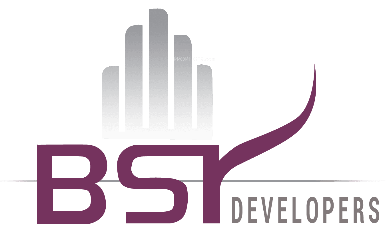 Developer Logo
