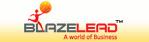 Developer Logo