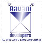 Developer Logo
