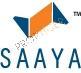 Developer Logo