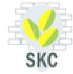 Developer Logo