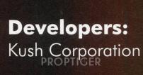 Developer Logo