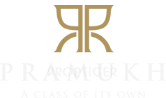 Developer Logo