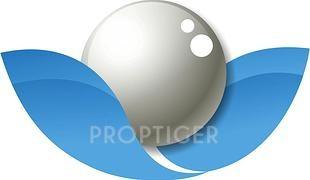 Developer Logo