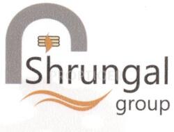 Developer Logo