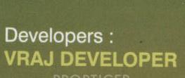 Developer Logo