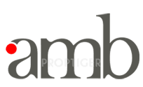 Developer Logo