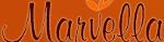 Developer Logo