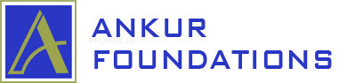 Developer Logo