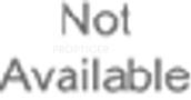 Developer Logo