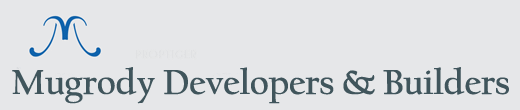 Developer Logo