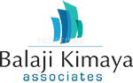 Developer Logo