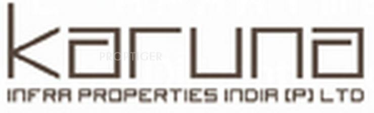 Developer Logo