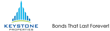 Developer Logo