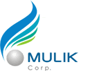 Developer Logo
