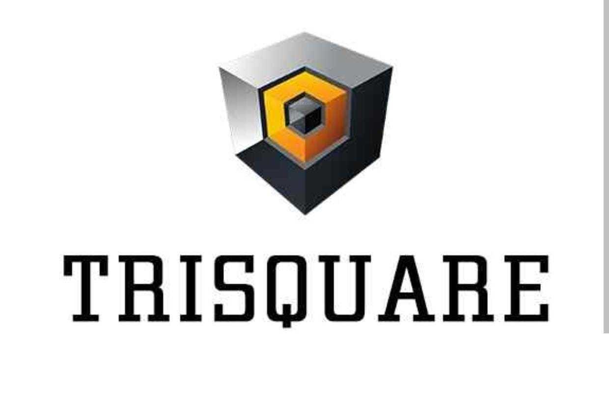 Developer Logo