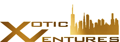 Developer Logo