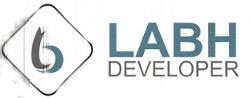 Developer Logo