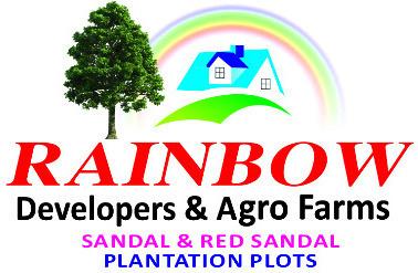 Developer Logo