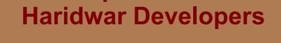 Developer Logo