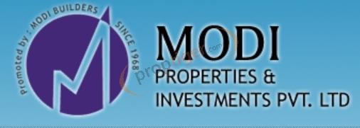 Developer Logo
