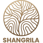 Developer Logo