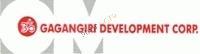 Developer Logo