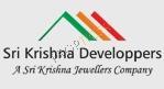 Developer Logo