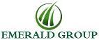 Developer Logo