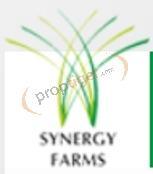 Developer Logo