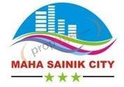 Developer Logo