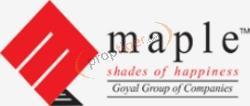 Developer Logo