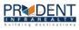 Developer Logo