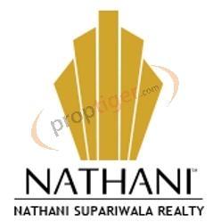 Developer Logo