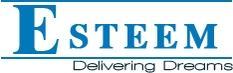 Developer Logo