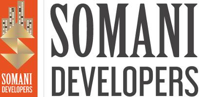 Developer Logo