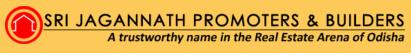 Developer Logo