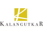 Developer Logo