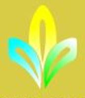 Developer Logo