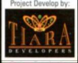 Developer Logo